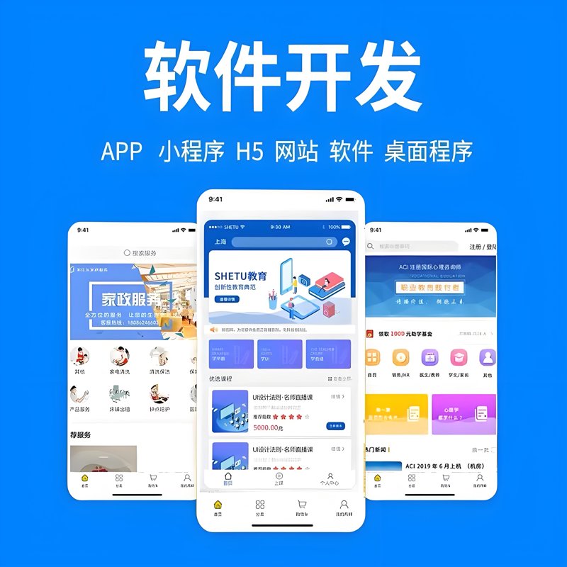 软件开发定制：为您的企业量身打造科技翅膀