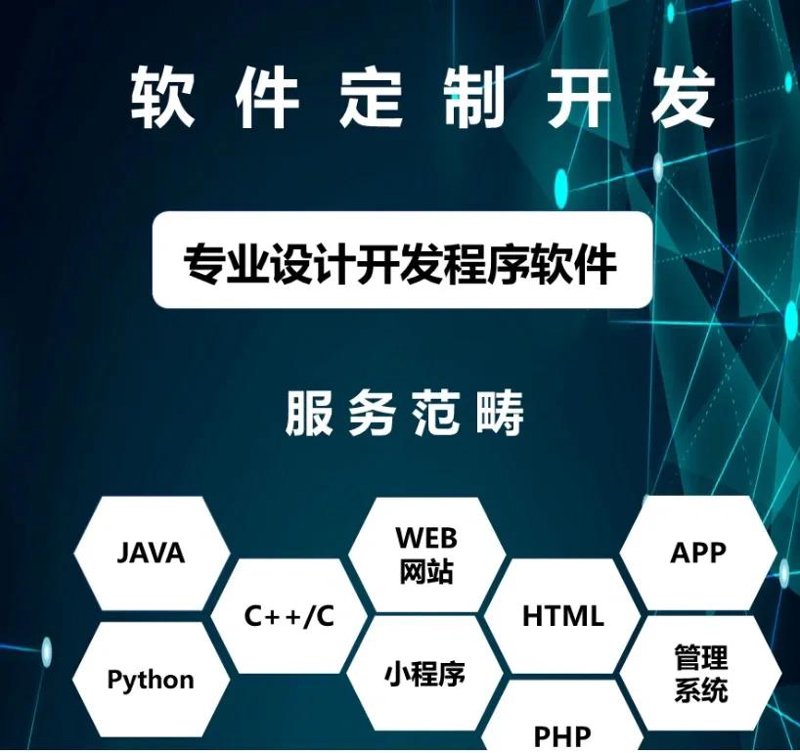 上海软件行业的新发展